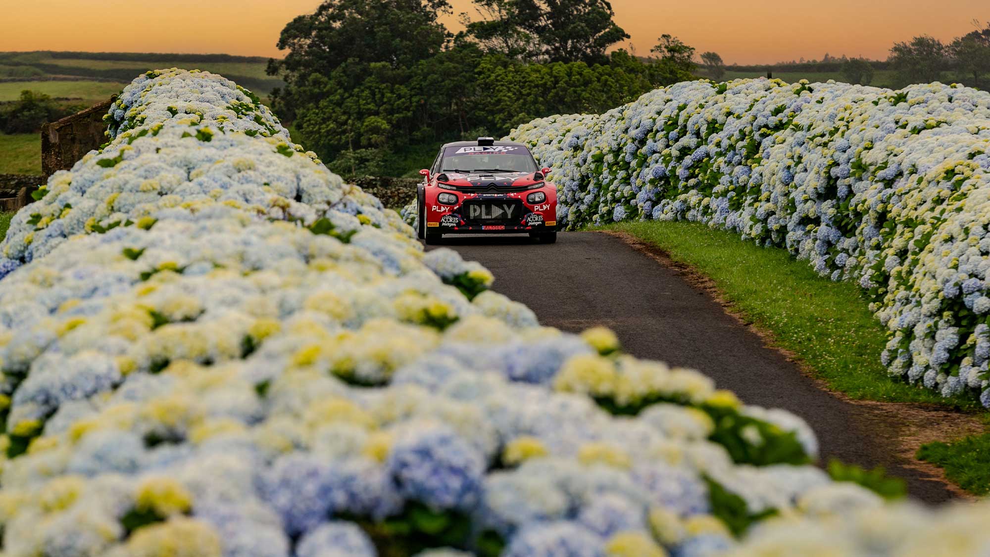 fotografia desportiva